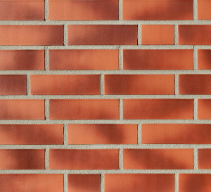 Клинкерный кирпич DARWIN в формате NF