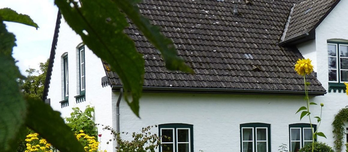 roben_bornholm-rek_1