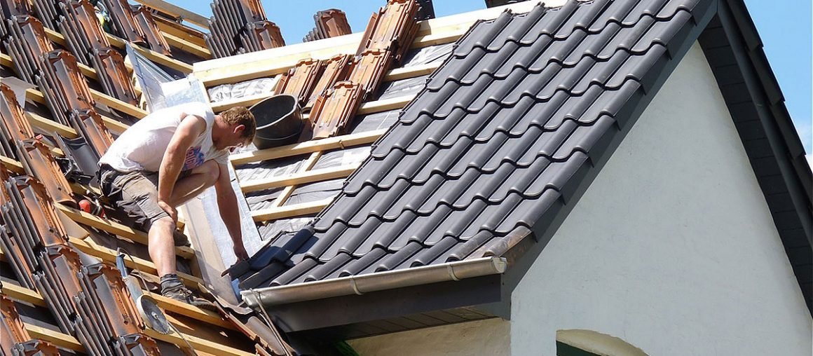 roben_bornholm-rek_5